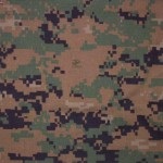 Ce este marpat, blogul militar