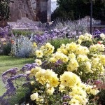 Flori în designul grădinii din grădină, phlox, irisuri, bujori, hortensii, trandafiri