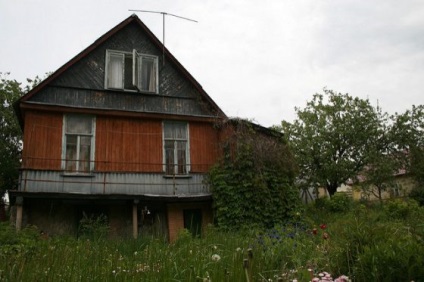 Dacha amnesty 