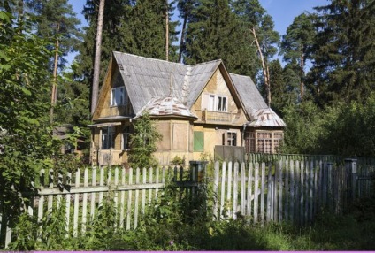 Dacha amnesty 