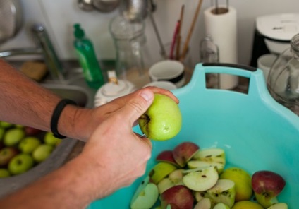 Az alma borkóstoló sütési technológiája és egyszerű, lépésről-lépésre készített receptek