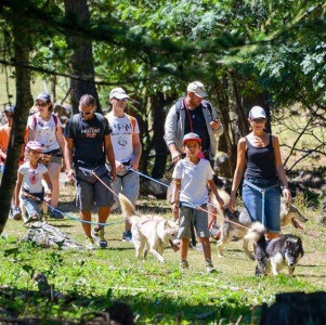 Excursie la canisa Husky Togliatti