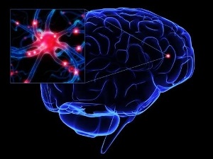 Phenibut - un remediu pentru îmbunătățirea funcționării sistemului creierului și a sistemului circulator