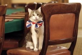 Pisica principală a Marii Britanii a sărbătorit nunta prințului William