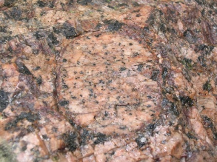 Granit Rapakivi