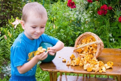 Ciupercile din nutriția copiilor sunt un produs sau pericol util