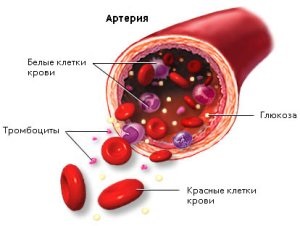 Accident vascular cerebral de tratament cerebral, simptome și de prevenire la adulți și copii