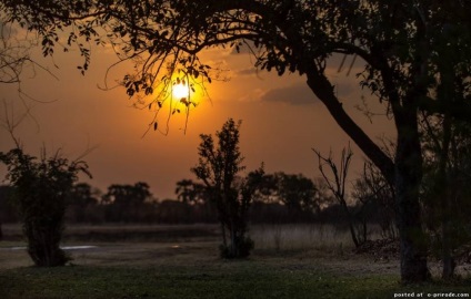 Érdekes tények Afrika - 24 fotók - képek - fotók természetes világ