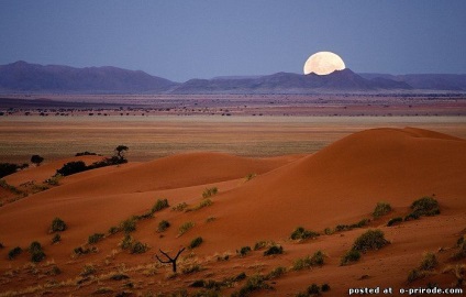 Érdekes tények Afrika - 24 fotók - képek - fotók természetes világ