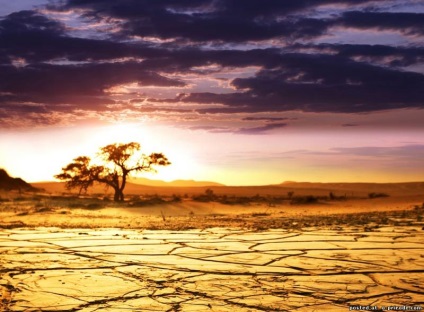 Érdekes tények Afrika - 24 fotók - képek - fotók természetes világ