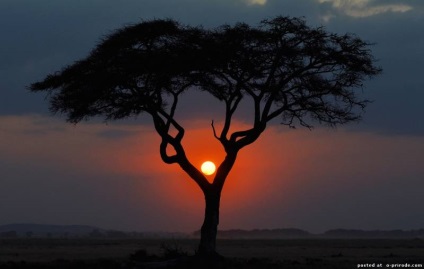 Interesant despre Africa - 24 fotografii - poze - photo world of nature