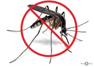Hogyan kell kezelni a szúnyogok népi jogorvoslat - Polar-Alpine Botanical Garden Intézet
