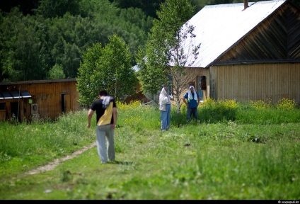 Cum să obțineți pantocrină de la coarnele de cerb, mai proaspete - cele mai bune din Runet pentru o zi!