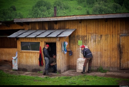 Cum să obțineți pantocrină de la coarnele de cerb, mai proaspete - cele mai bune din Runet pentru o zi!