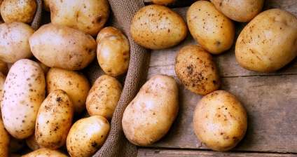 Cum și cât de mult să stocați cartofi - baza de date a termenilor de depozitare