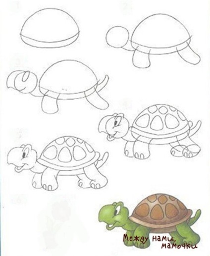 Cum să înveți să desenezi animale, între noi, mama