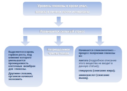 Care este deficitul zilnic de calorii creat pentru a pierde in greutate