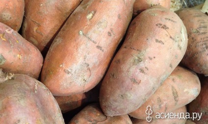 Cum se păstrează cartofii dulci