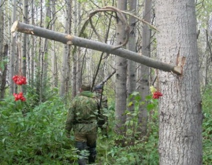 Як зробити сильця на куріпок