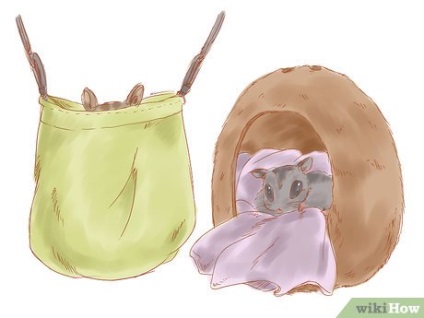 Cum să ai grijă de opossum