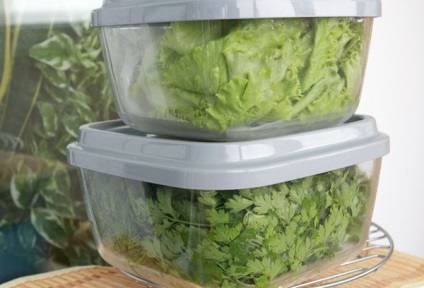 Cum să păstrați verdele în frigider și în formă uscată corect