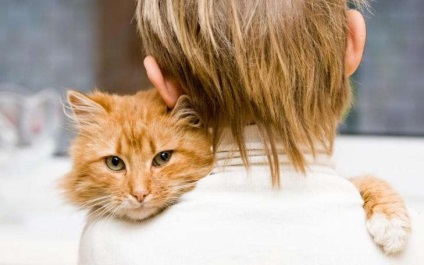 Ce poate duce îmbrățișările cu pisicile (8 fotografii), iadul