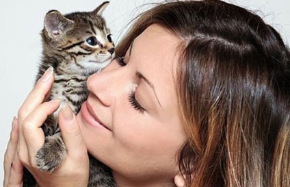 Ce poate îmbrățișa îmbrățișările cu pisicile