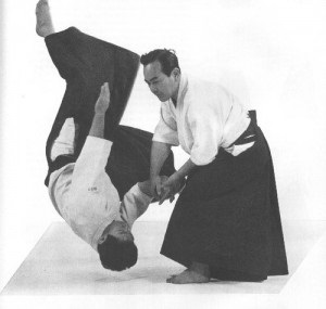 Ki-Aikido Aikido Szövetség a Altaj Köztársaság