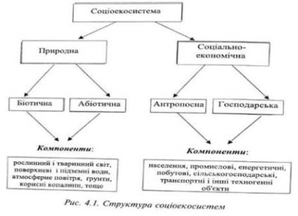 Clasificarea și structura socioecosistemelor, funcționarea socioecosisteme