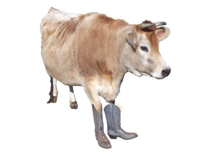 Vaca - imaginea 161-4