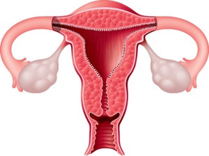 Tratamentul polipilor în prețurile uterine, recenzii, clinici