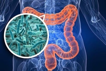 Medicamente pentru infectarea intestinului