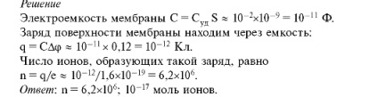 Лекція 12 біоелектричні потенціали