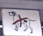 Littleone 2006-2009 - țara câinilor traversați