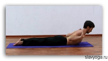 Makarasana (postura de crocodil), yoga, slavyoga