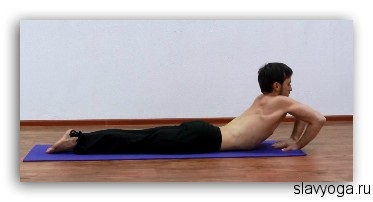 Makarasana (postura de crocodil), yoga, slavyoga