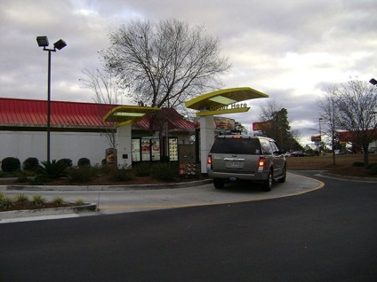 Fapte puțin cunoscute despre câinele McDonald's, Schrodinger