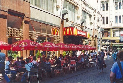 Fapte puțin cunoscute despre câinele McDonald's, Schrodinger