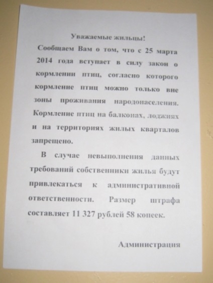 Nu hrăniți porumbeii albastri! Orașul - seara Petersburg