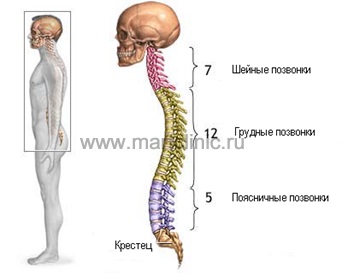 Osteocondroza - simptome, tratamentul osteocondrozei