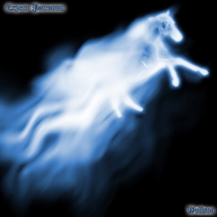 Patronus expecto patronum