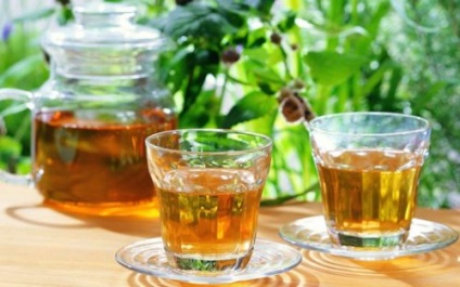 Curățarea ficatului hepatic, compoziția ceaiului din plante