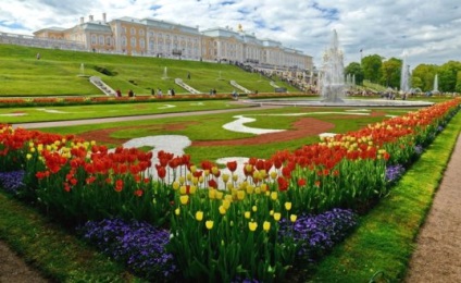 Peterhof cum să ajungi independent din Sankt Petersburg