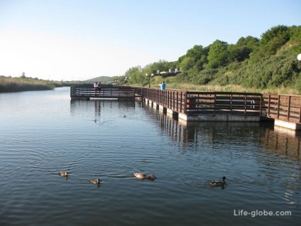 Plajă în chihlimbar - 