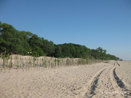 Plajă în chihlimbar - 