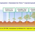 Vinete de plantare pentru cresterea pe teren deschis si dupa aterizare in pamant si culegere, consilier