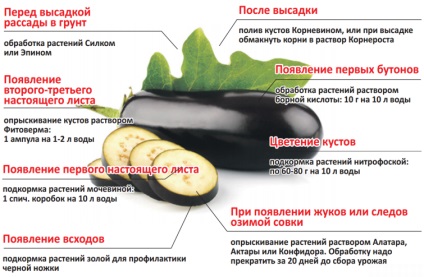 Vinete de plantare pentru cresterea pe teren deschis si dupa aterizare in pamant si culegere, consilier