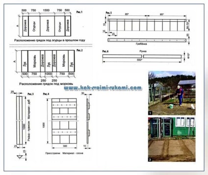 Semănând morcovi de la un la mine - împărtășesc sfaturi, un site despre o grădină, o reședință de vară și plante de apartament