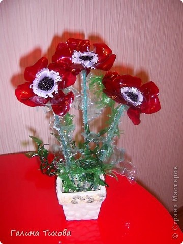 Flori frumoase din sticle de plastic de la Galina liniștită, ideile mele dulci de acasă - lucrate manual de lucru