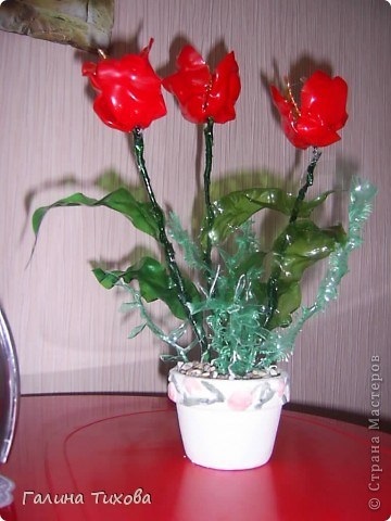 Szép virágok műanyag palackokat Galina Tikhov édes otthon - Kézzel készített kézműves ötletek